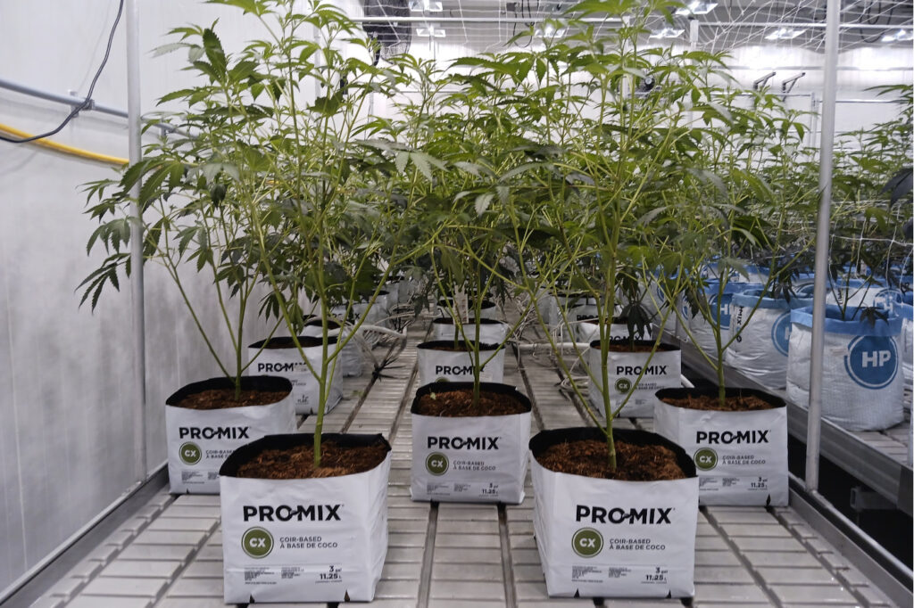 Pro-Mix CX coir-based grow bags Premier Tech mg Magazine