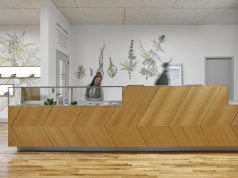 Modernism, Minimalism & Medical in Chicago A woman standing at a dispensary Sales Counter with wooden design and white walls with cannabis art
