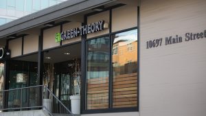 GREEN-THEORY FOUNDED IN 2014 * 10697 MAIN ST., SUITE 2 BELLEVUE, WA 98004 424 502-7033 * www.green-theory.com 