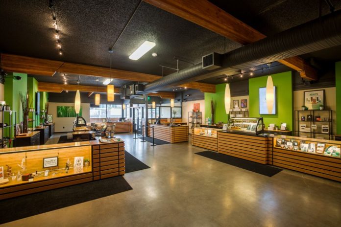 interior of cannabis dispensary with green walls and wood display counters