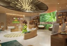 Ten Questions for Theresa Flynt, VP At Pineapple Express Image1 e1464049936582