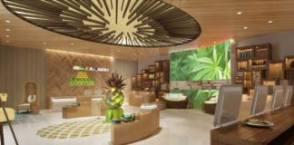 Ten Questions for Theresa Flynt, VP At Pineapple Express Image1 e1464049936582