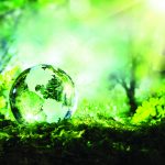 Solution 3 Could Be A Miracle glass globe of earth sitting on ferns with forest background