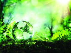 Solution 3 Could Be A Miracle glass globe of earth sitting on ferns with forest background
