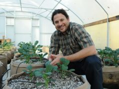 Jonathan Valdman is Forever Flowering young man in plaid shirt smiling next to young cannabis plants in grow bags