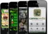 Can A Pot App Deliver What the Community Wants? 4 iphones with cannabis apps on the screens