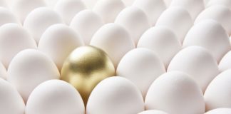 How to Cultivate Brand Disciples gold painted egg in middle of white eggs