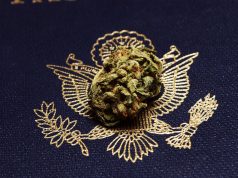 The Final 420 Before Marijuana Is Rescheduled? legalize