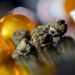 Medical Personnel Form National Marijuana Group marijuana