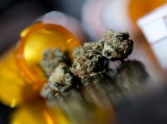 Medical Personnel Form National Marijuana Group marijuana