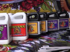 MG Magazine at the 2015 Emerald Cup maxresdefault 12