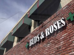 MG Visits Buds and Roses in Studio City maxresdefault 14