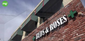 MG Visits Buds and Roses in Studio City maxresdefault 14