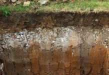 Soil: The Three Billion Years Of Science soil sample side view with different layers of earth