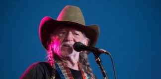 Succeeding With Entertainment Transactions In Cannabis willie nelson e1464219110633