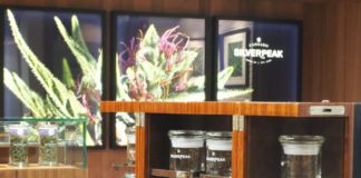 Silverpeak Apothecary Is Elevating Aspen PC160201