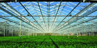 Light-Deprivation & Greener Grass With Greenhouses greenhouse e1463614626753