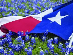 The Impact Of The Texas Compassionate Use Act texas flag