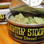 N2 Packaging Can Increase The Shelf Life Of Cannabis unnamed