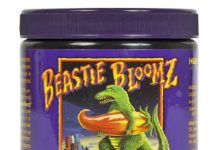 Beastie Bloomz 5 Beastie Bloomz e1465517643182