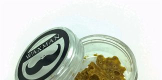 Waxman Concentrates Atomic Northern Lights