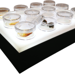 Extract Display Trays BudBar display clipped