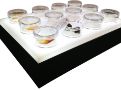 Extract Display Trays BudBar display clipped