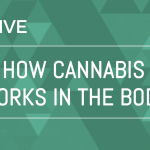 Green Flower Streams Another Informative Webinar Green Flower pic