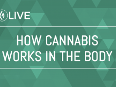 Green Flower Streams Another Informative Webinar Green Flower pic