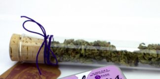 Hepburns Hepburns 12