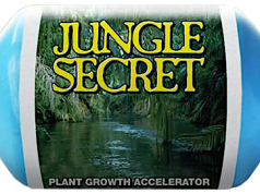 Jungle Secret Water JungleSecretWater 1
