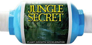 Jungle Secret Water JungleSecretWater 1