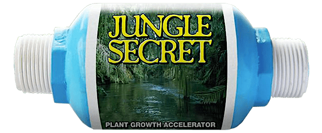 JungleSecretWater 1