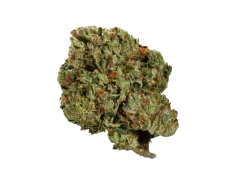 Paris OG Kush 1 clipped