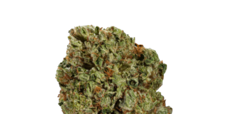 Cannabis Task Force Issues Response To LA City Council Paris OG Kush 1 clipped