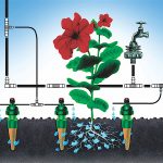 Tropf Bluttat 50-Plant Pump System Tropf Blumat Plant Pump System 1