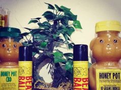 Bear Balm honeypotbear420 inst