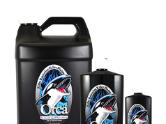 Plant Success: Orca orca clipped