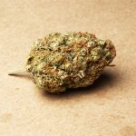 Quinnipiac Poll Shows Majority Support For Marijuana quinnipiac