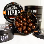 Blueberry Terra Bites terra