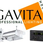 Gavita Nederland And Gavita Norway Merge Operations Gavita