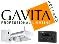 Gavita