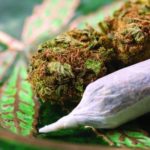 Nurses Can Certify MedMarijuana Patients In Hawaii HappysSub shutterstock 172264919 cc e1468390203774