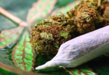 Nurses Can Certify MedMarijuana Patients In Hawaii HappysSub shutterstock 172264919 cc e1468390203774