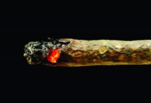 Pre-Rolls: Reefer Madness J red 208318471 e1467335127484