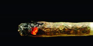 Pre-Rolls: Reefer Madness J red 208318471 e1467335127484