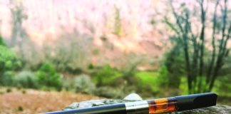 Treat Your Body Like A Temple TempleExtracts insta 5 cc