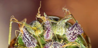 Hashtag: Featured July Instagram Pics fulcrumlabsinc