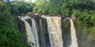 Hawaii MMJ Dispensaries To Open Later This Year shutterstock 446935717