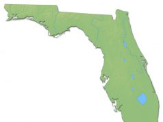 Truelieve, First Medical Marijuana Dispensary In Florida Opens shutterstock 454316131